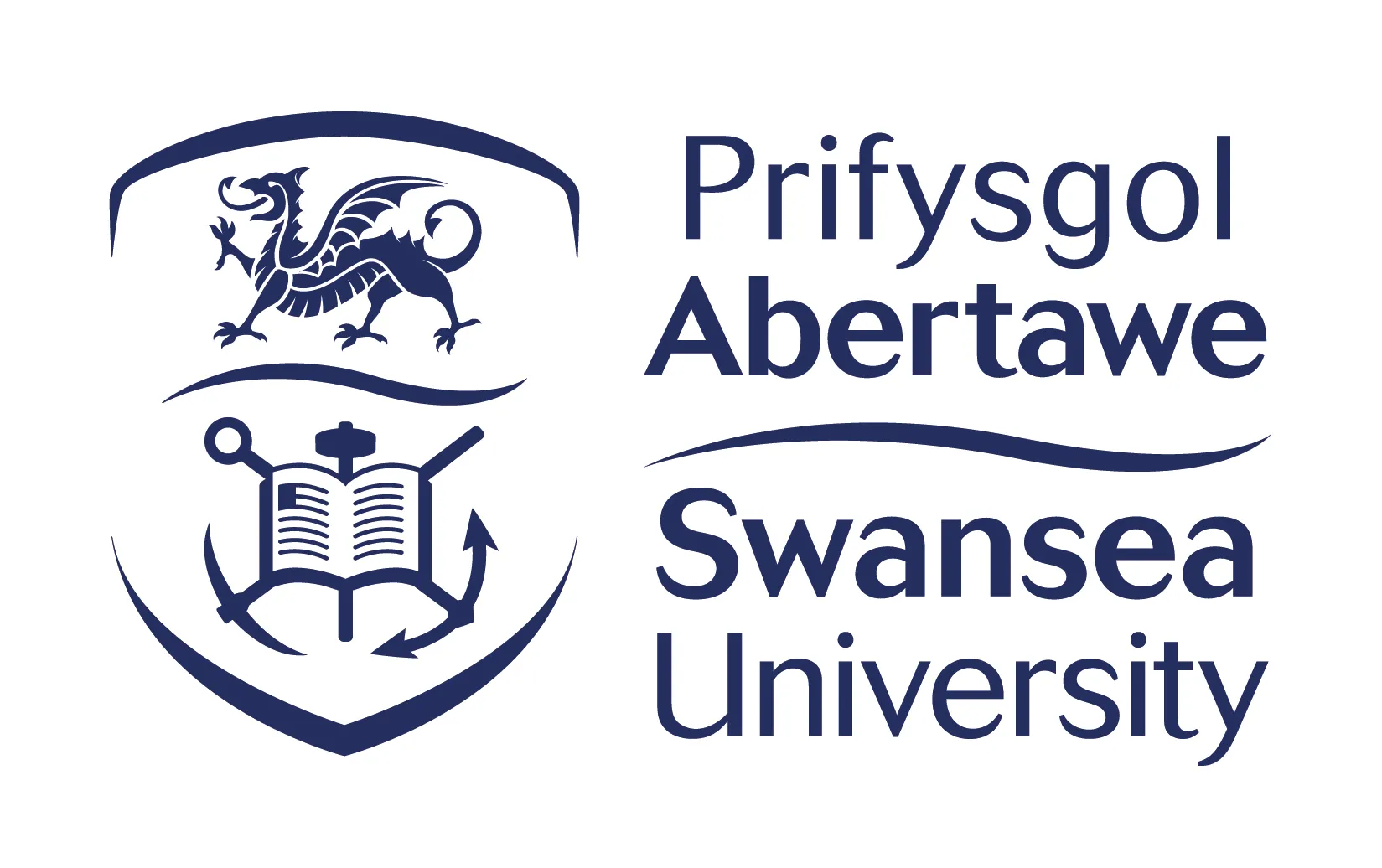 Swansea University
